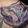 wolf tattoo