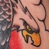 eagle tattoo - anthony filo