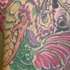 dragon koi 2