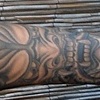 briansleeve1
