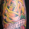yellow rose