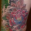 dragon koi 3