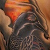 raven and skull ribs 2