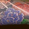 ryukin sleeve
