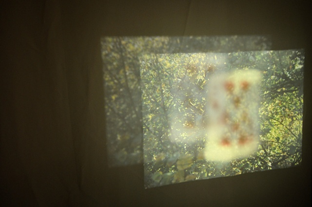Objects at the Window