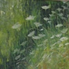 Speckled Meadow