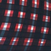Red and Navy Plaid