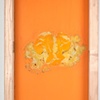 Orange Acrylic Paint