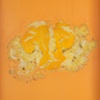 Orange Acrylic Paint (detail)