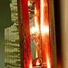 Meatness and Light (detail)