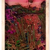 The Large Plexiglas