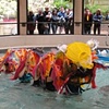 Habitat: A Community Performance Project