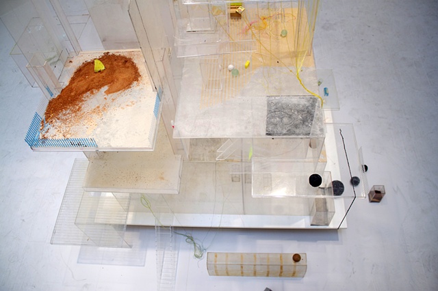 Stripped Opacity Construction Playground (Detail)