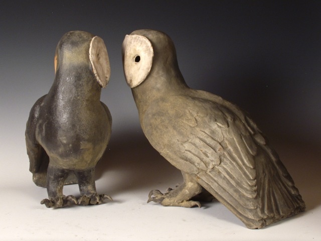 Barn Owls