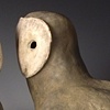 Barn Owls