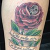 Afi/Tiger Army themed rose