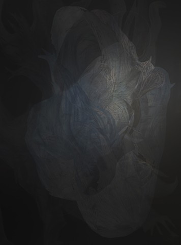 Illusive Flesh of Light XXI
