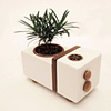 "Music for Plants" Radio