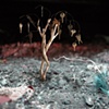 "Recombinant Reality" Triptych
