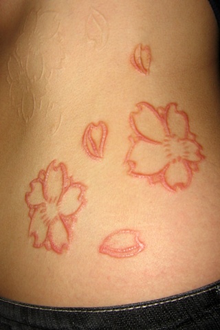 Cherry blossoms cutting