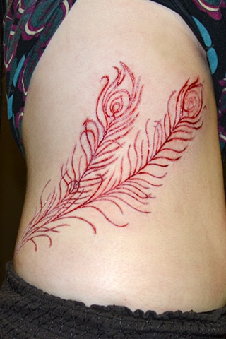 Peacock feathers