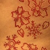 Cherry blossoms and snowflakes cutting