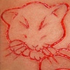 Cat cutting