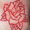 Rose cutting