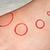 Circle cuttings