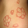 Cherry blossoms cutting