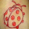 Ladybug