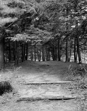 Allerton, Path