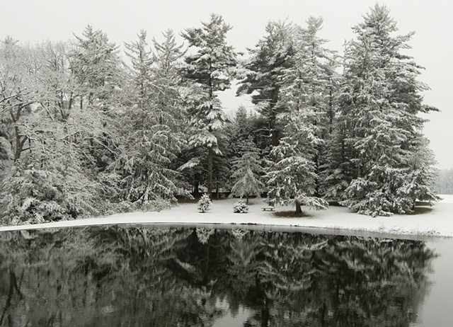Untitled, Allerton Park in Winter