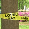 Lovely Caution