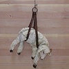 Lamb: From Let Inside Outside, City Hall, San Francisco