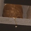 Little Cups of Sweetness, Detail