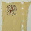 Bacteria Study 1