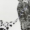 Chrysalis Emergent IV