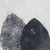 Familiar Asylum, 4 + 6