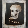 Skull Missing Link