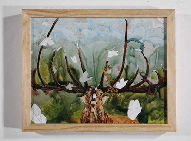 Ink painting on mylar or sythetic paper of an elk and moths by jenn houle