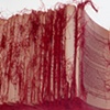 red thread book 2004