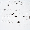 night writing (detail)