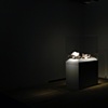Of Ghosts and Speculation