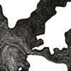 A Silent Roar (detail)