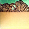 Untitled Still-life