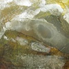 42. Found Within
