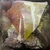 7. Cracks Peering Through