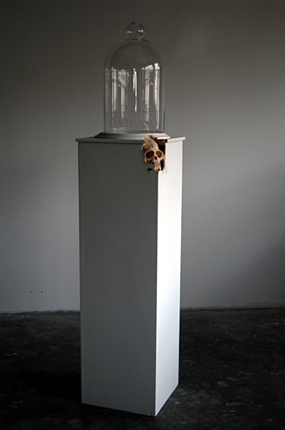  Maskull Lasserre Art Artist Portfolio Artwork Collection Sculpture Public Art Masquel Drawing Montreal Pierre Francois Ouellette Art Contemporain Macaque Monkey Skull Carving Plynth Bell Jar