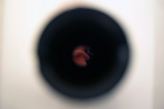 Misconception Viewer (detail)
